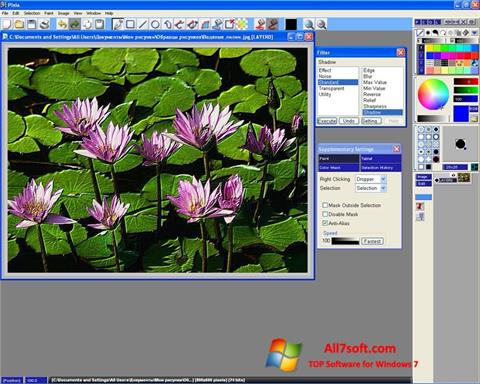 Screenshot Pixia Windows 7
