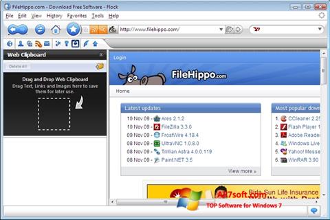 Screenshot Flock Windows 7