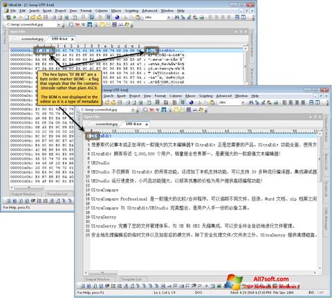 Screenshot UltraEdit Windows 7