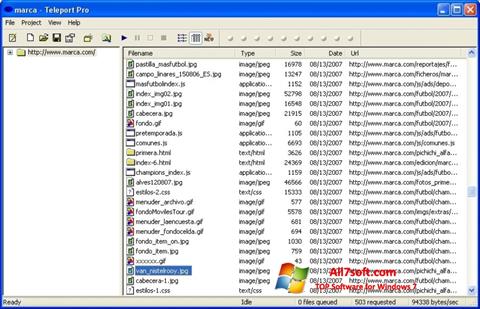 Screenshot Teleport Pro Windows 7