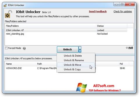 Screenshot IObit Unlocker Windows 7