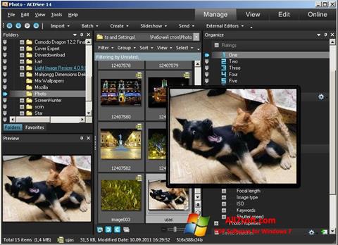 Screenshot ACDSee Photo Manager Windows 7